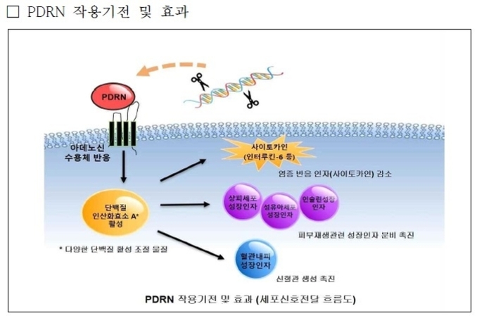 해조류의 PDRN 소재 화장품 개발
