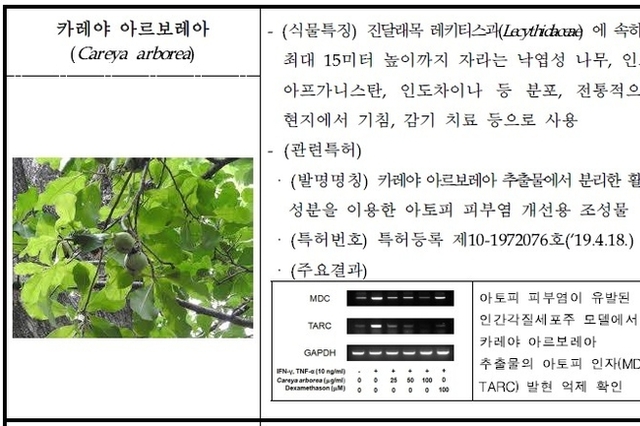 국립생물자원관, 캄보디아 야생식물 추출물의 ‘아토피 피부염’ 기술 이전