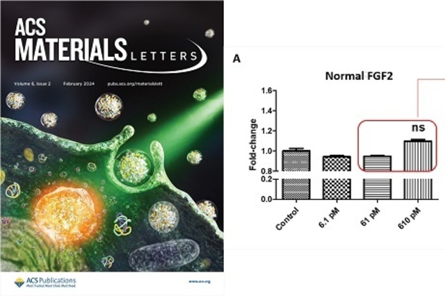 세르본 핵심 기술 ‘NICT 침투 기술’, 국제학술지 ACS Materials Letters 게재