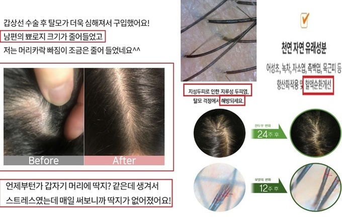 식약처 적발 사례.