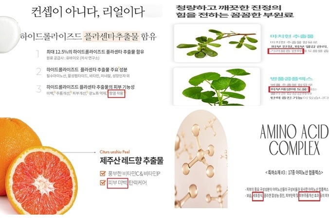 적발된 화장품 부당광고 사례. 위는 의약품 오인 광고, 아래는 기능성화장품 심사 결과와 다르게 광고한 사례다.