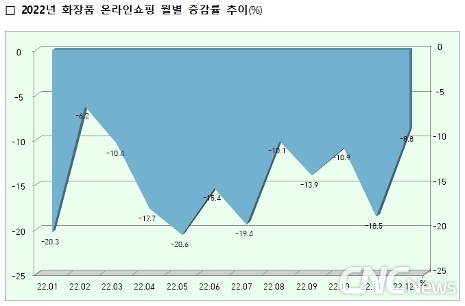 2022년 화장품 온라인매출은 줄곧 하락세를 보여, 연간 -14.6%를 기록했다. 