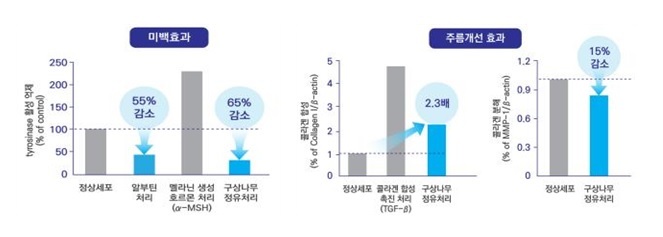 구상나무 정유의 피부 미백 및 주름 개선 효과.