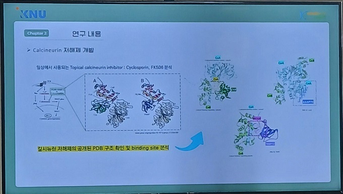 아토피에 효능이 있는 '칼시뉴린 저해제 개발'에서 AI 생성 모델을 통해 타깃 선별, 화합물 유효성과 독성 검증에 유용한 툴임이 확인됐다고 이구연 교수는 설명했다.